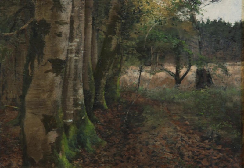 Martin Greenland November Woods, Oil on canvas