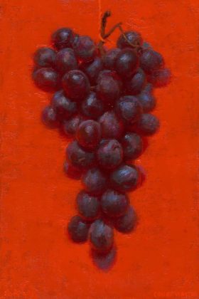 Conor Walton Red Grapes Oil on Linen 30 x 20 cm.