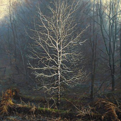 Winter Light in Torlum Wood, Oil on Linen 60 x 80 cm.